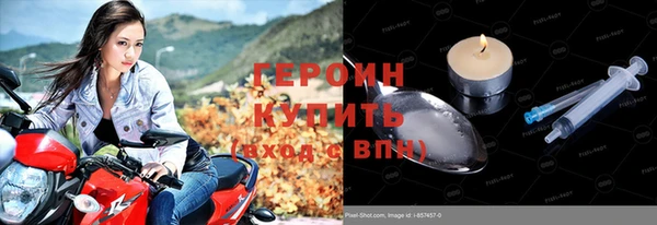 молекула духа Вяземский