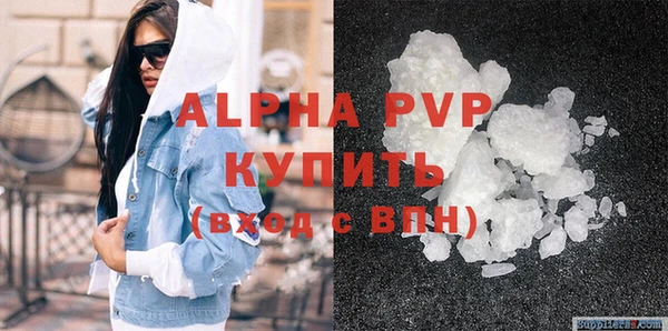 молекула духа Вяземский