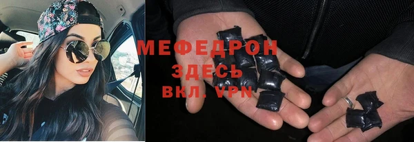 молекула духа Вяземский