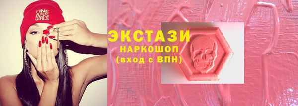 молекула духа Вяземский