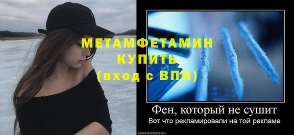 молекула духа Вяземский