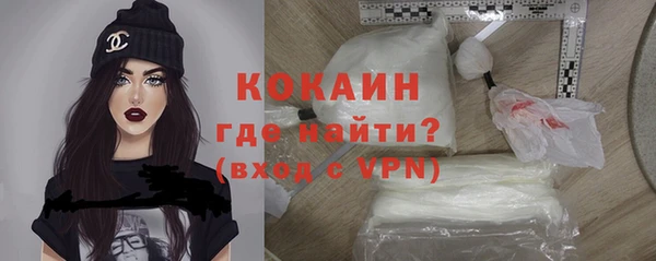 молекула духа Вяземский