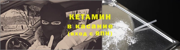 молекула духа Вяземский