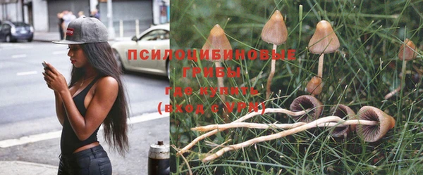 молекула духа Вяземский