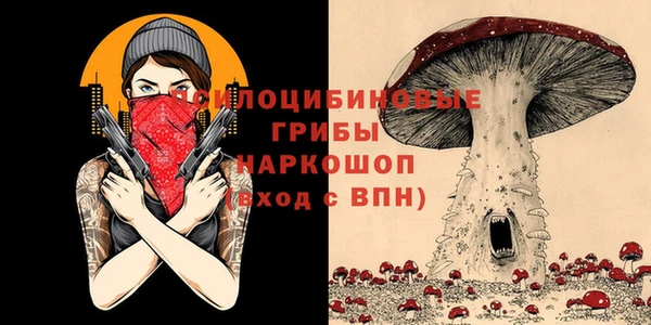 круглые Вязьма