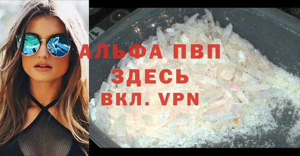 молекула духа Вяземский