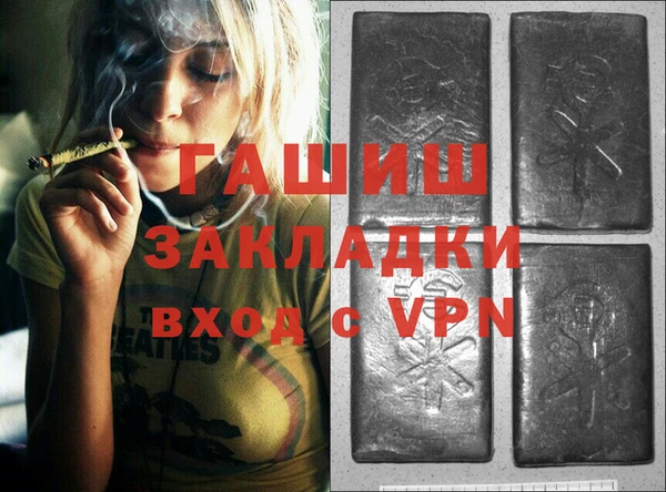 молекула духа Вяземский
